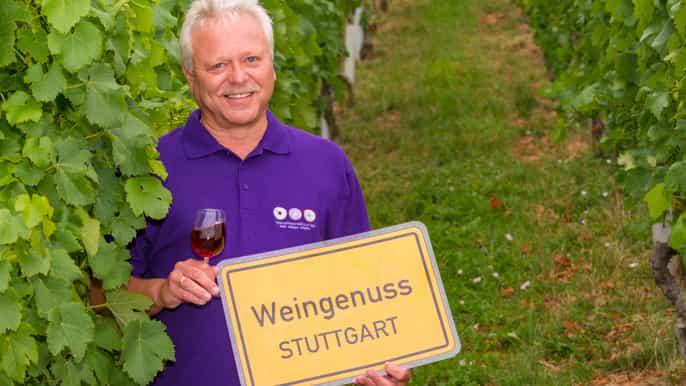 estugarda passeio guiado de vinho e degustação de vinhos