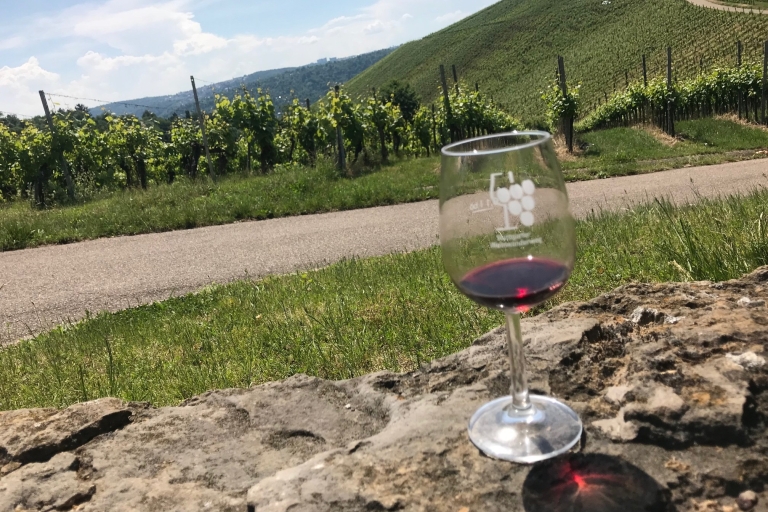 Stuttgart: paseo guiado por el vino y cata de vinosTour desde Stuttgart-Feuerbach