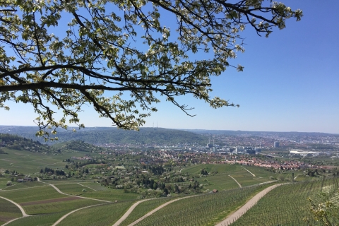 Stuttgart: paseo guiado por el vino y cata de vinosTour desde la estación de Untertürkheim