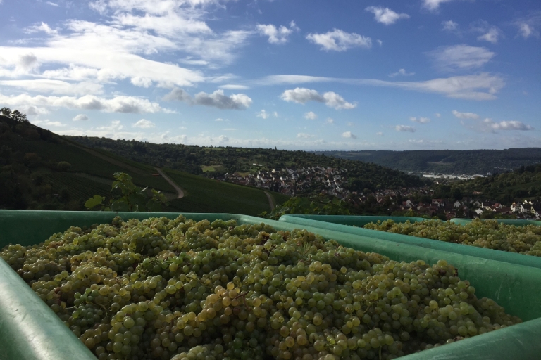 Stuttgart: paseo guiado por el vino y cata de vinosTour desde Stuttgart-Feuerbach
