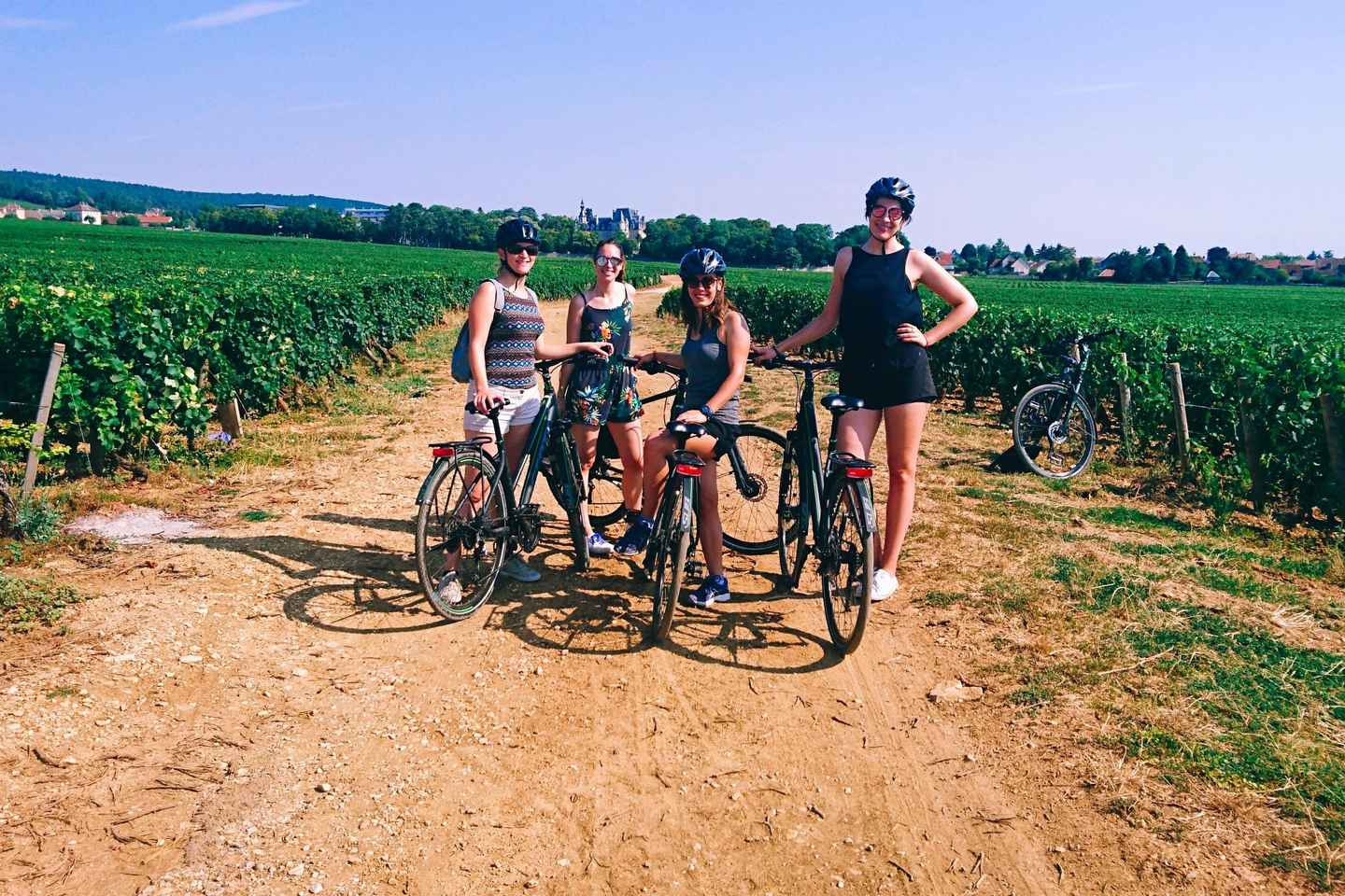 Dijon: Bike tour and Tastings in the Vineyards of Burgundy