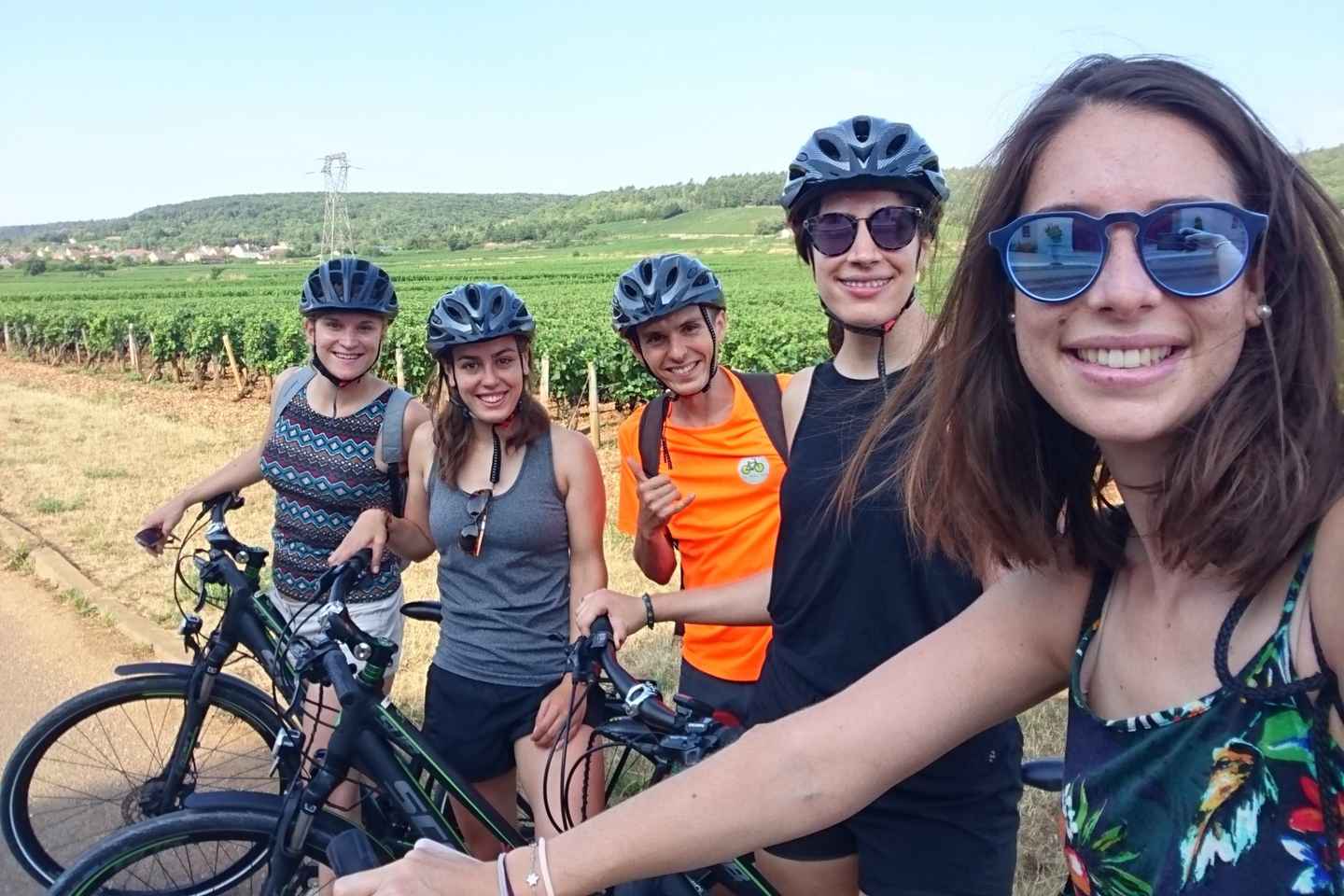 Dijon: Bike tour and Tastings in the Vineyards of Burgundy