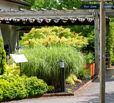 Garden & park tours