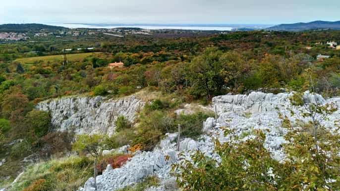 carso war wine nature walk with wine tasting