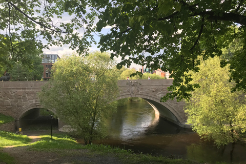 Oslo: Riverwalk y degustación de comida noruega