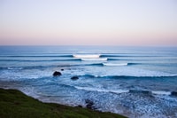 Phillip Island, Nature Hike and Penguin Parade with Guide - Housity