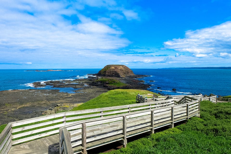 Phillip Island: Nature Hike and Penguin Parade with Guide | GetYourGuide