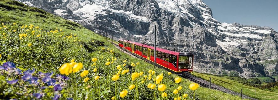 From Interlaken: Day Trip to Jungfraujoch Mountain