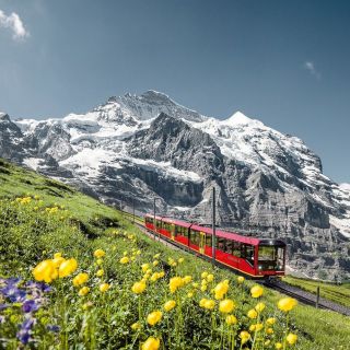 From Interlaken: Day Trip to Jungfraujoch Mountain