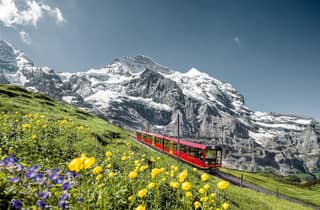 Da Interlaken: visita guidata allo Jungfraujoch, il tetto d'Europa