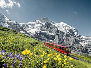 From Interlaken: Day Trip to Jungfraujoch by Bus and Train