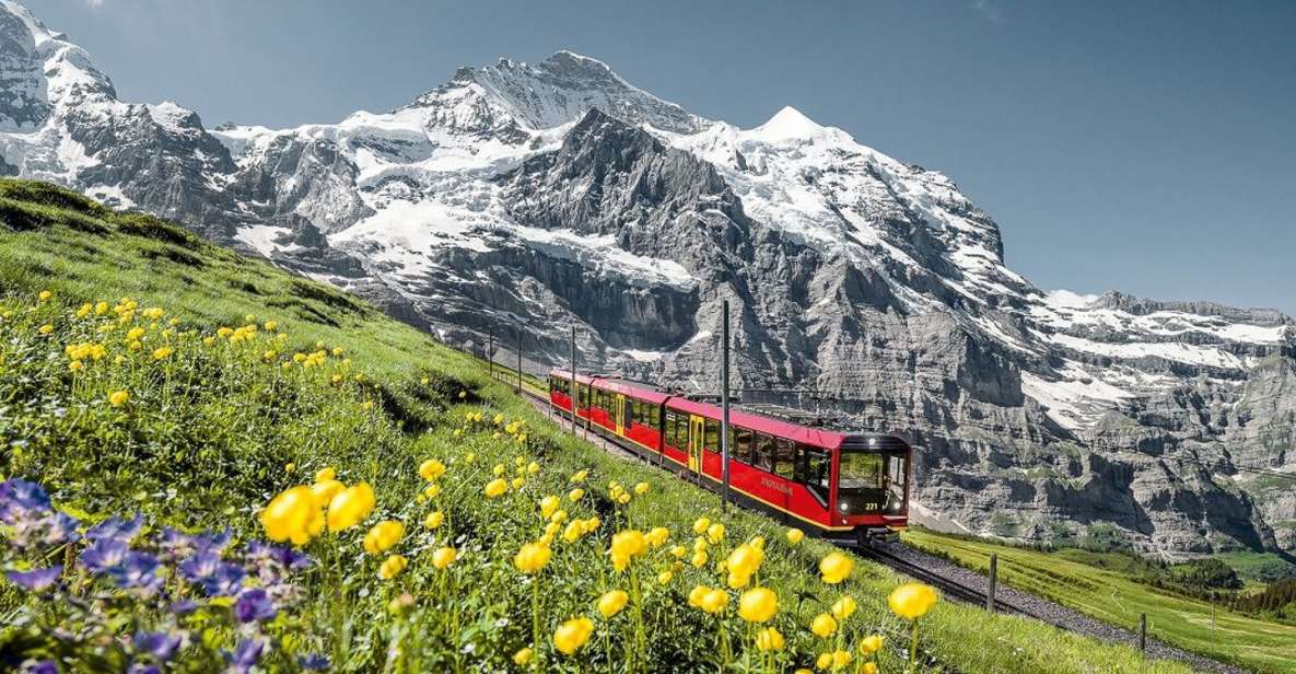 Monte Jungfraujoch: tour do 1 giorno da Interlaken