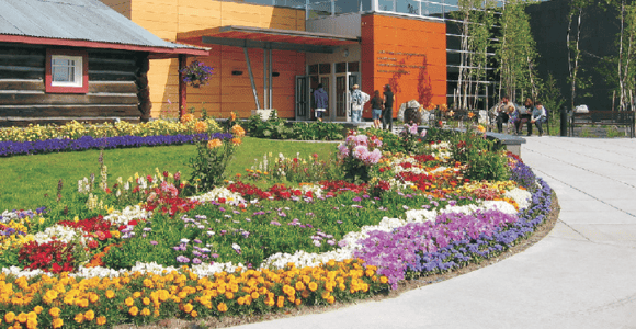 The Best of Fairbanks: Half-Day City Highlights Tour