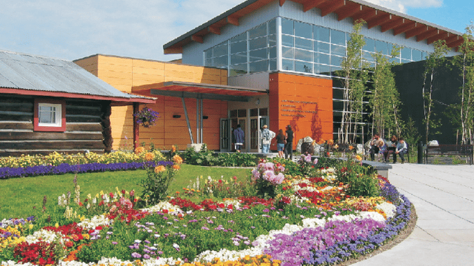the best of fairbanks halfday city highlights tour