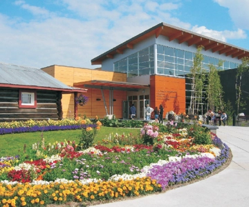 The Best of Fairbanks: Half-Day City Highlights Tour
