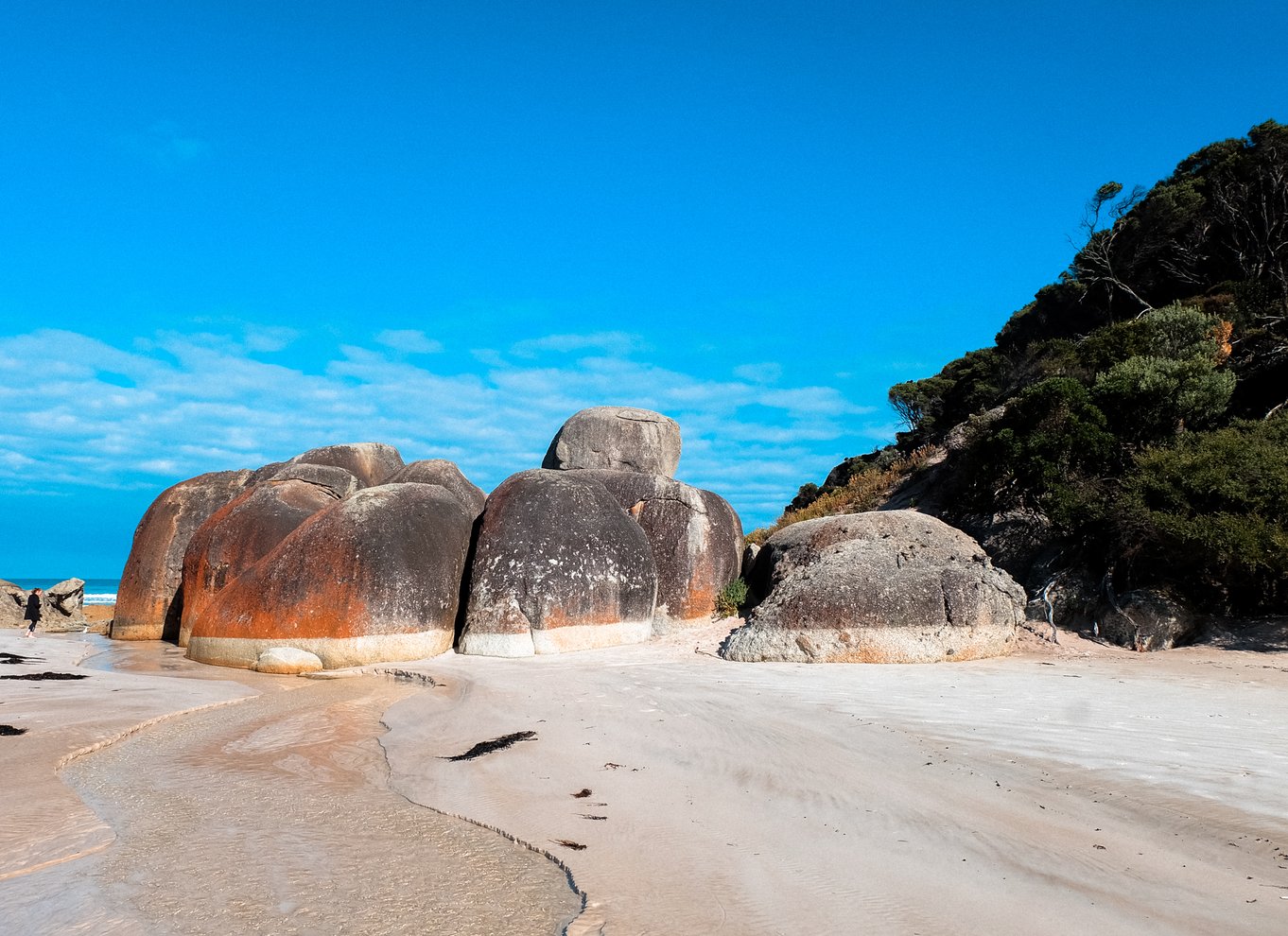 Fra Melbourne: Wilsons Promontory dagstur med en lille gruppe