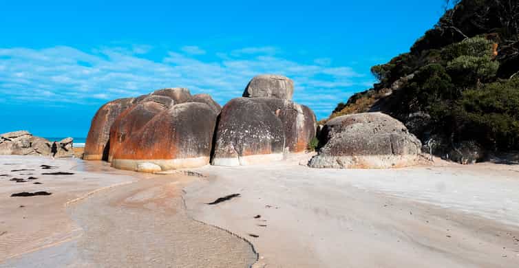 Wilsons Promontory National Park Day Trip photo 7