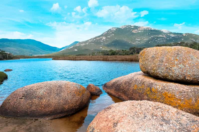 From Melbourne Wilsons Promontory Day Tour GetYourGuide