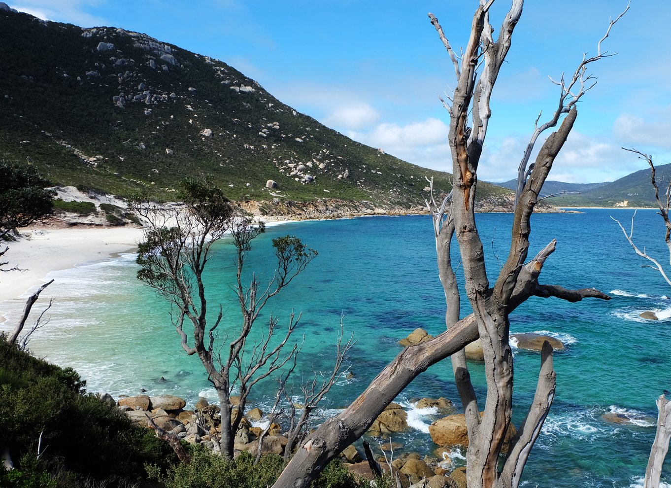 Fra Melbourne: Wilsons Promontory dagstur med en lille gruppe