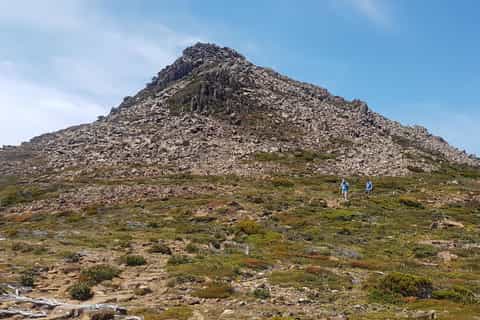 from hobart hartz mountain national park hiking tour