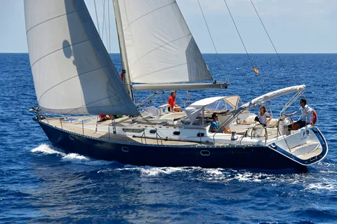 Tenerife: Sailing Excursion with Whale and Dolphin Watching