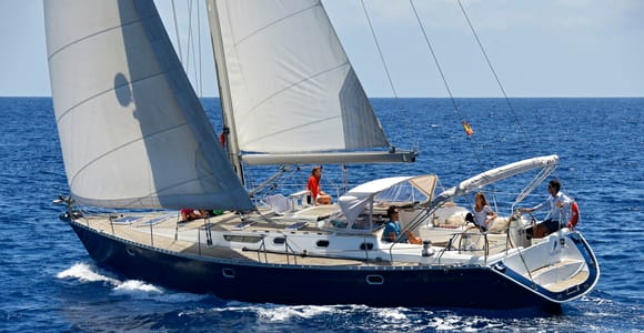 Tenerife: Sailing Excursion with Whale and Dolphin Watching