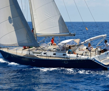 Tenerife: Sailing Excursion with Whale and Dolphin Watching
