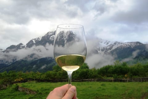 Tbilisi: Mtskheta Region Wine Tour
