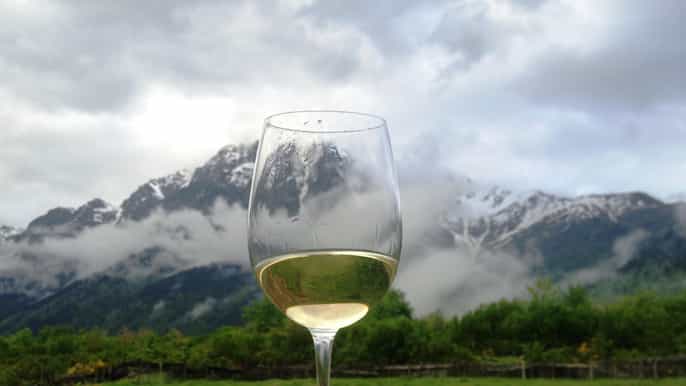 tbilisi mtskheta region wine tour