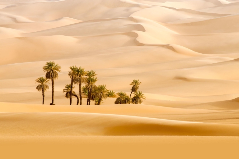 Abou Dabi : excursion dans le désert avec balade en chameauVisite semi-privée