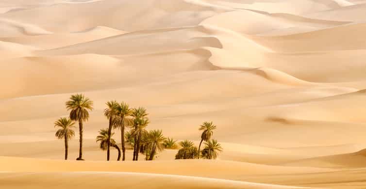 Abu Dhabi: Morning Desert Tour, Camel Ride & Sandboarding photo 12