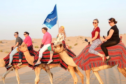 Abu Dabi: safari de 4 horas y paseo en camello por la mañanaTour semiprivado