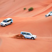 Abu Dhabi: Morgendliche Wüstensafari mit Kamelritt