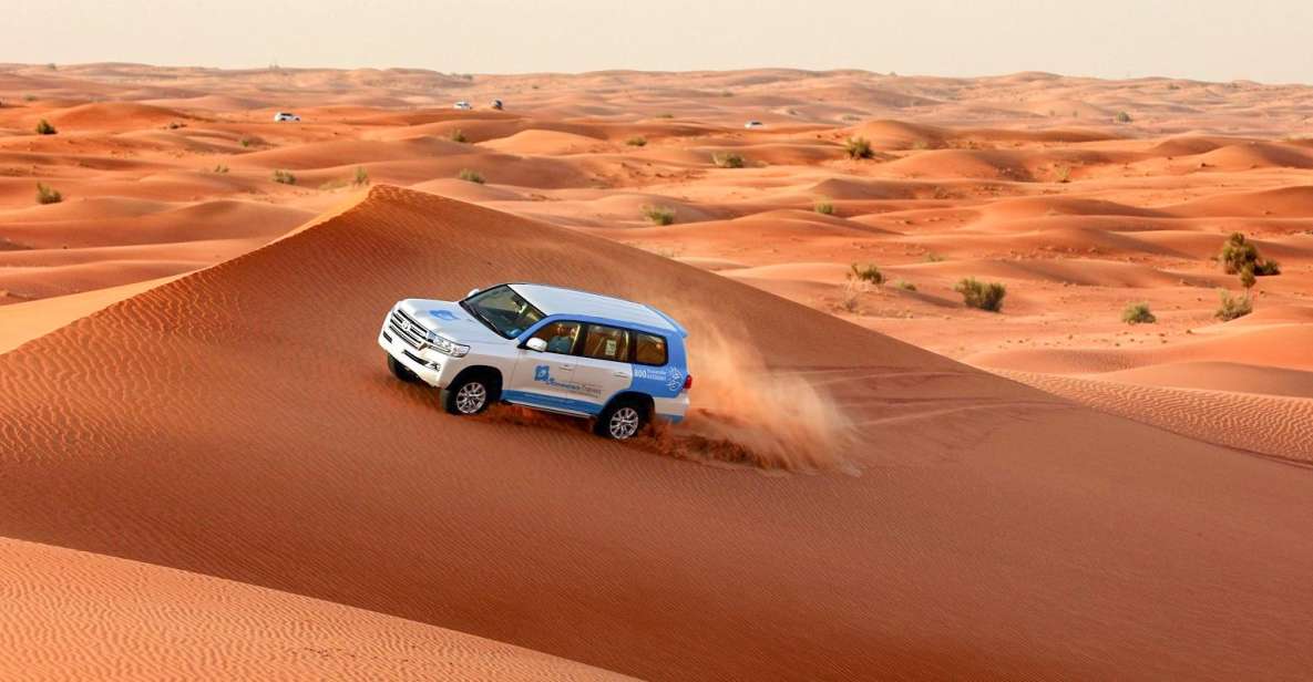 Abu Dhabi: Morning Desert Safari with Camel Ride