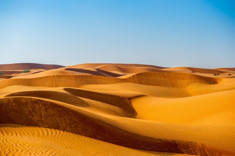 Experiencia Tradicional de Campamento en el Desierto y Quad en Abu Dhabi
