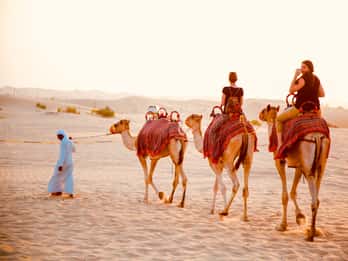 Abu Dhabi Traditional Desert Camp Experience And Quad Bike