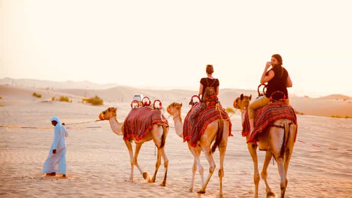 abu dhabi traditional desert camp experience and quad bike