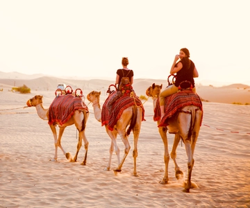 Abu Dhabi Traditional Desert Camp Experience And Quad Bike