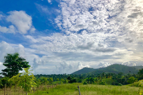 From Punta Cana: Jungle Buggy Adventure to Anamuya River