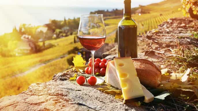 koper 6hour culinary wine and sightseeing experience