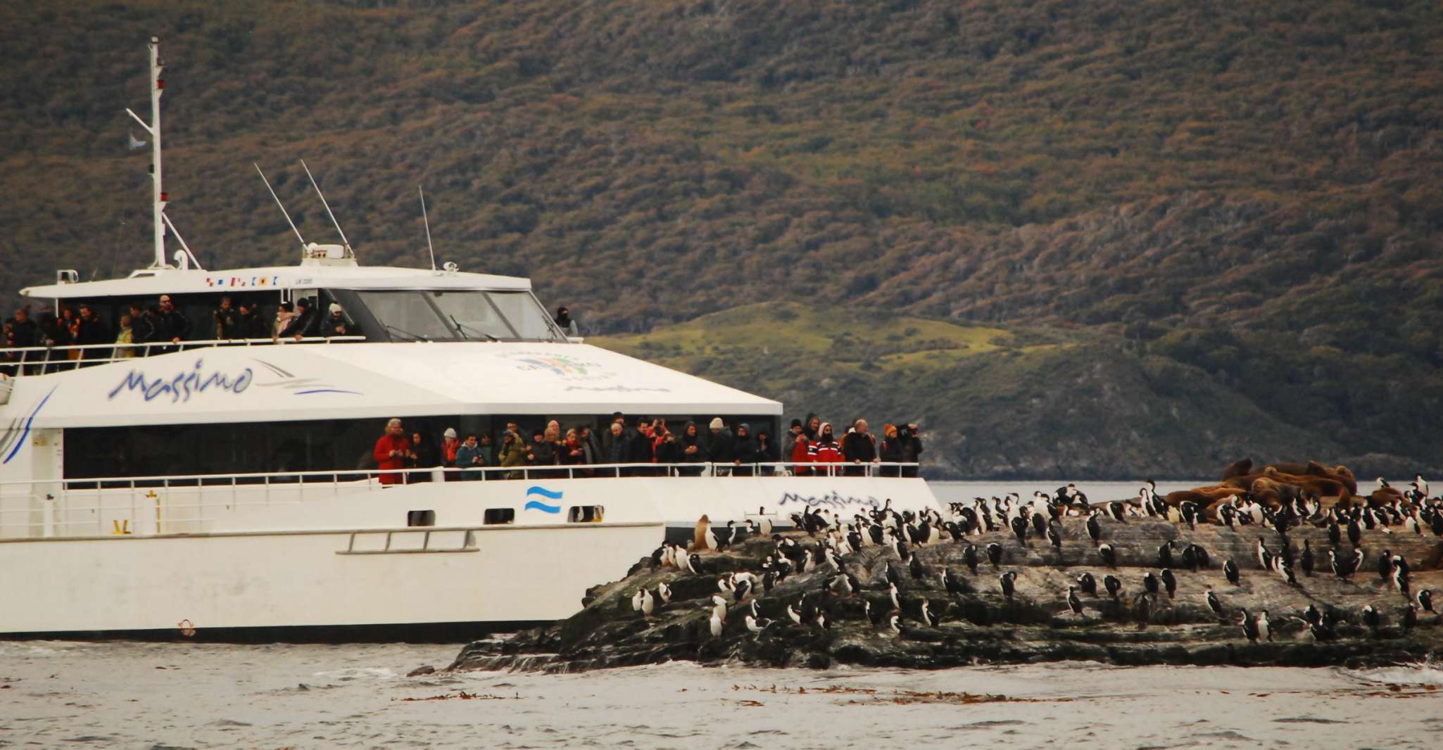 Ushuaia, Penguin Watching Tour by Catamaran - Housity