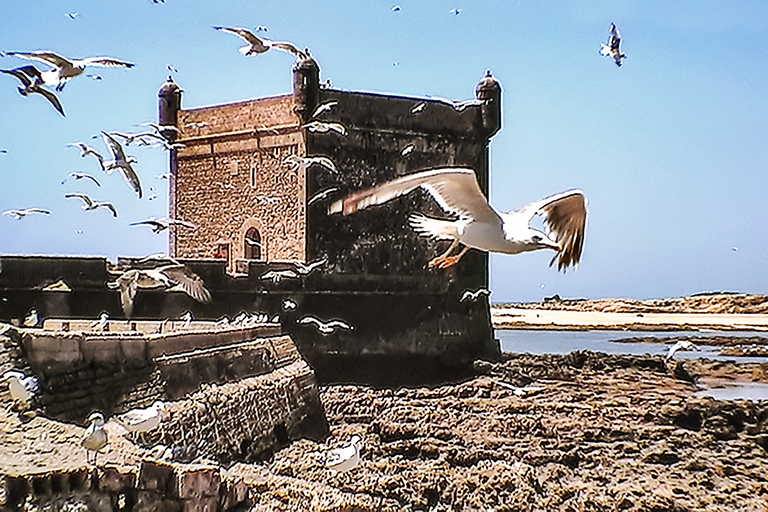 From Marrakesh: Essaouira Full-Day Trip Private Tour