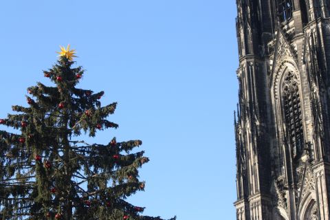 Cologne: Advent and Christmas Customs Tour in German