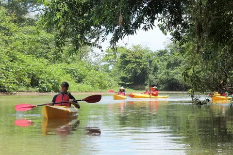 Arenal: Safari Kayak & Wildlife