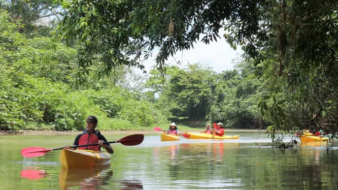 arenal safari kayak wildlife