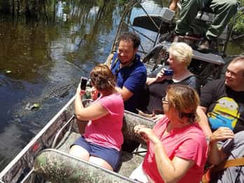Everglades: Propellerbootfahrt & Wildlife-Show auf Deutsch Everglades: Propellerbootfahrt & Wildlife-Show auf Deutsch