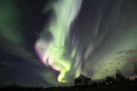Polarlicht-Nacht in einer Hütte ab FairbanksStandard-Option