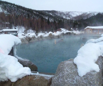 Von Fairbanks aus: Chena Hot Springs Northern Lights Tour