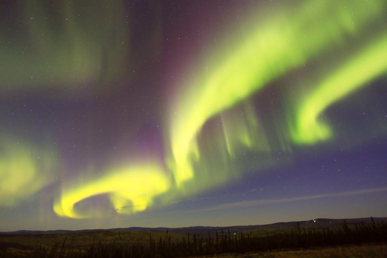 Desde Fairbanks: aurora boreal en aguas termales de ChenaAurora boreal y aguas termales: tour nocturno