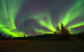 From Fairbanks: Northern Lights & Murphy Dome Tour